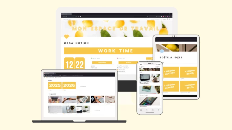 Organotion notion un zeste de com community manager menton